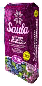 Arándanos y rododendros